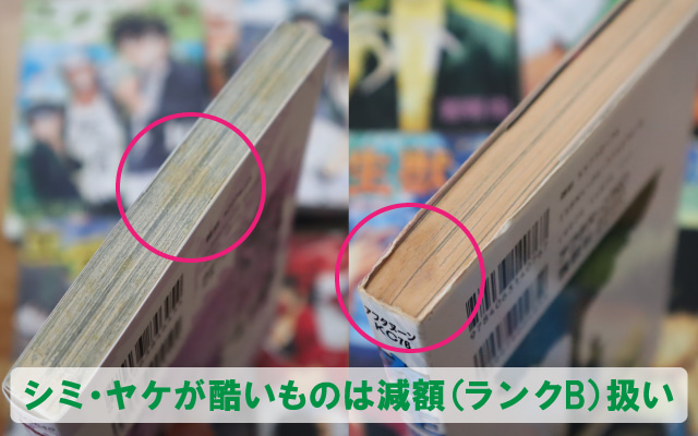 駿河屋買取価格分析